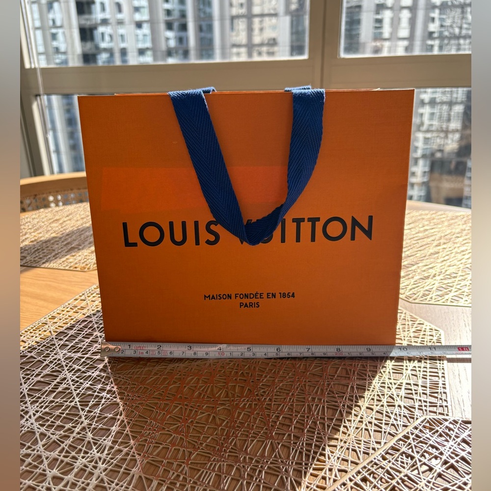 Authentic Louis Vuitton paper gift bag